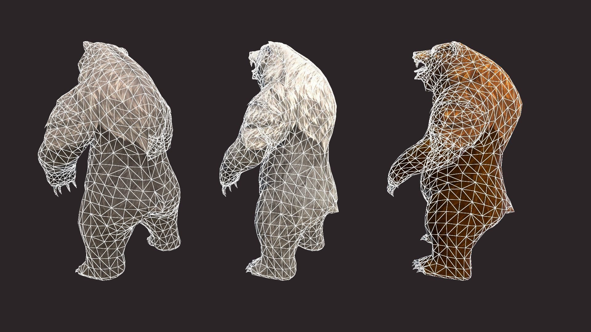 Bears bear Low-poly 3D model_16