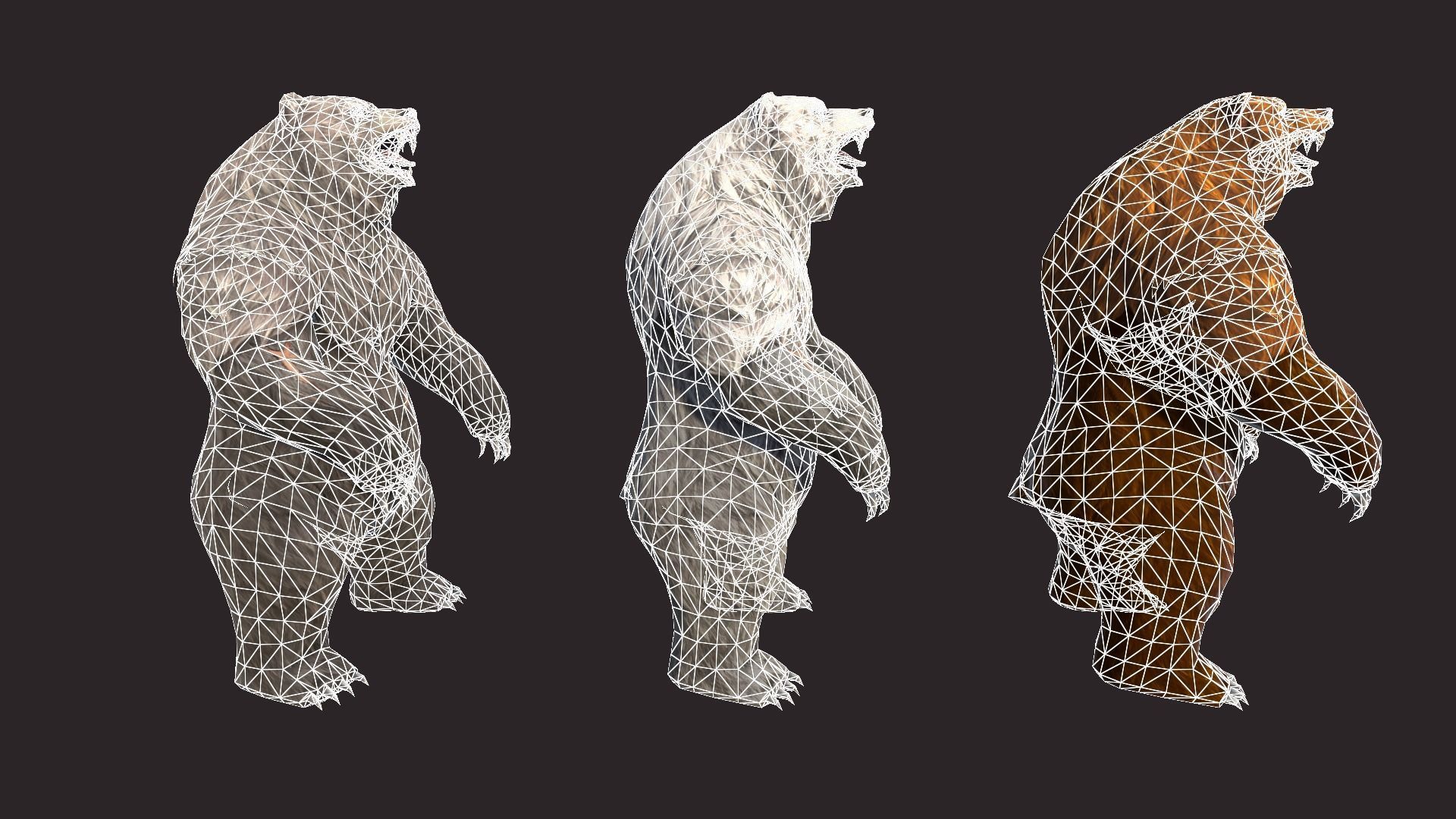 Bears bear Low-poly 3D model_20