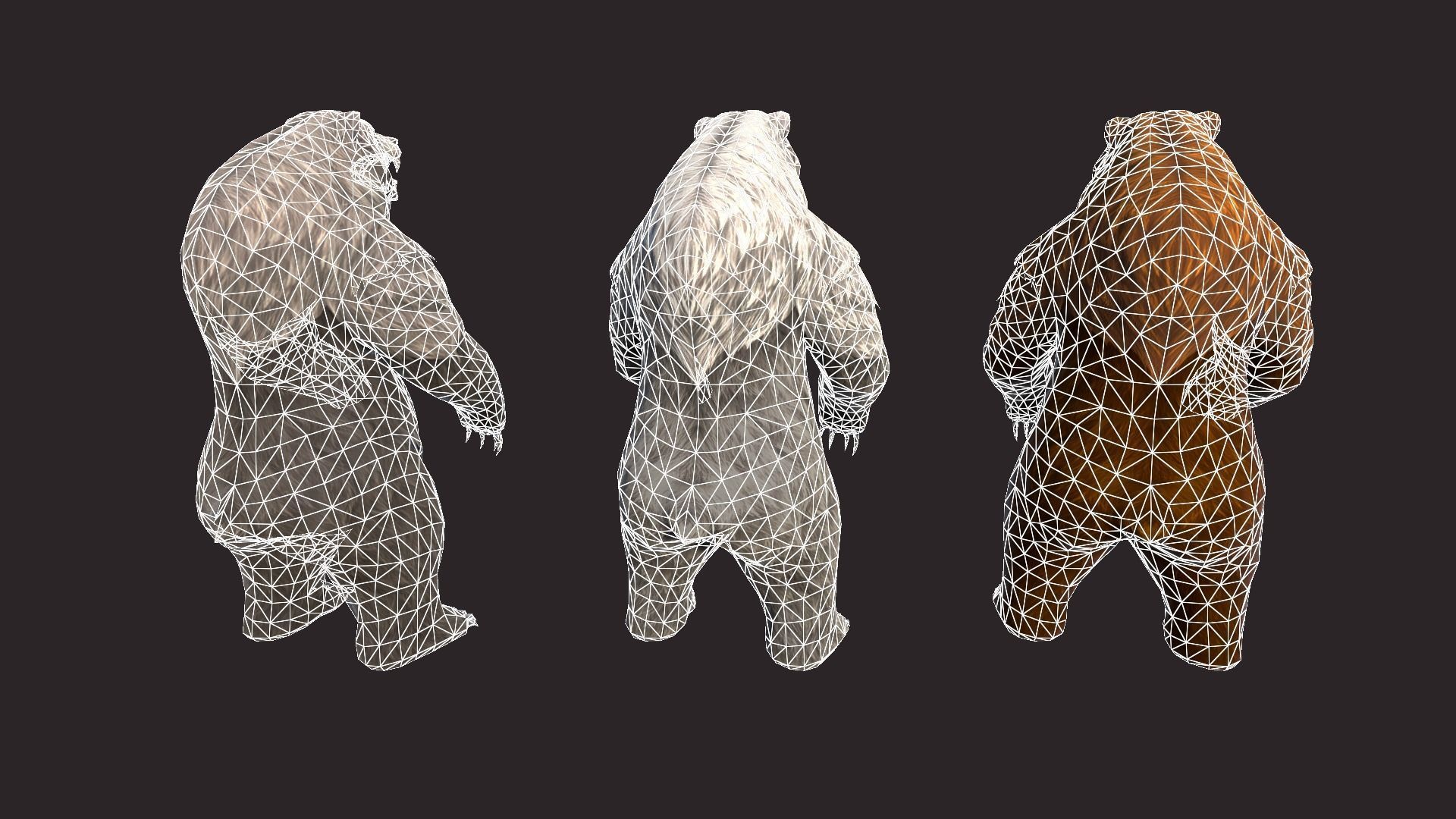 Bears bear Low-poly 3D model_18