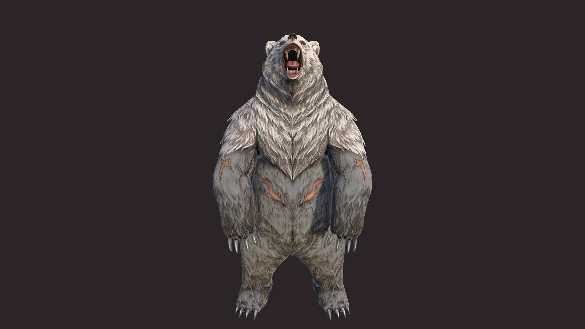 Bears bear Low-poly 3D model_2