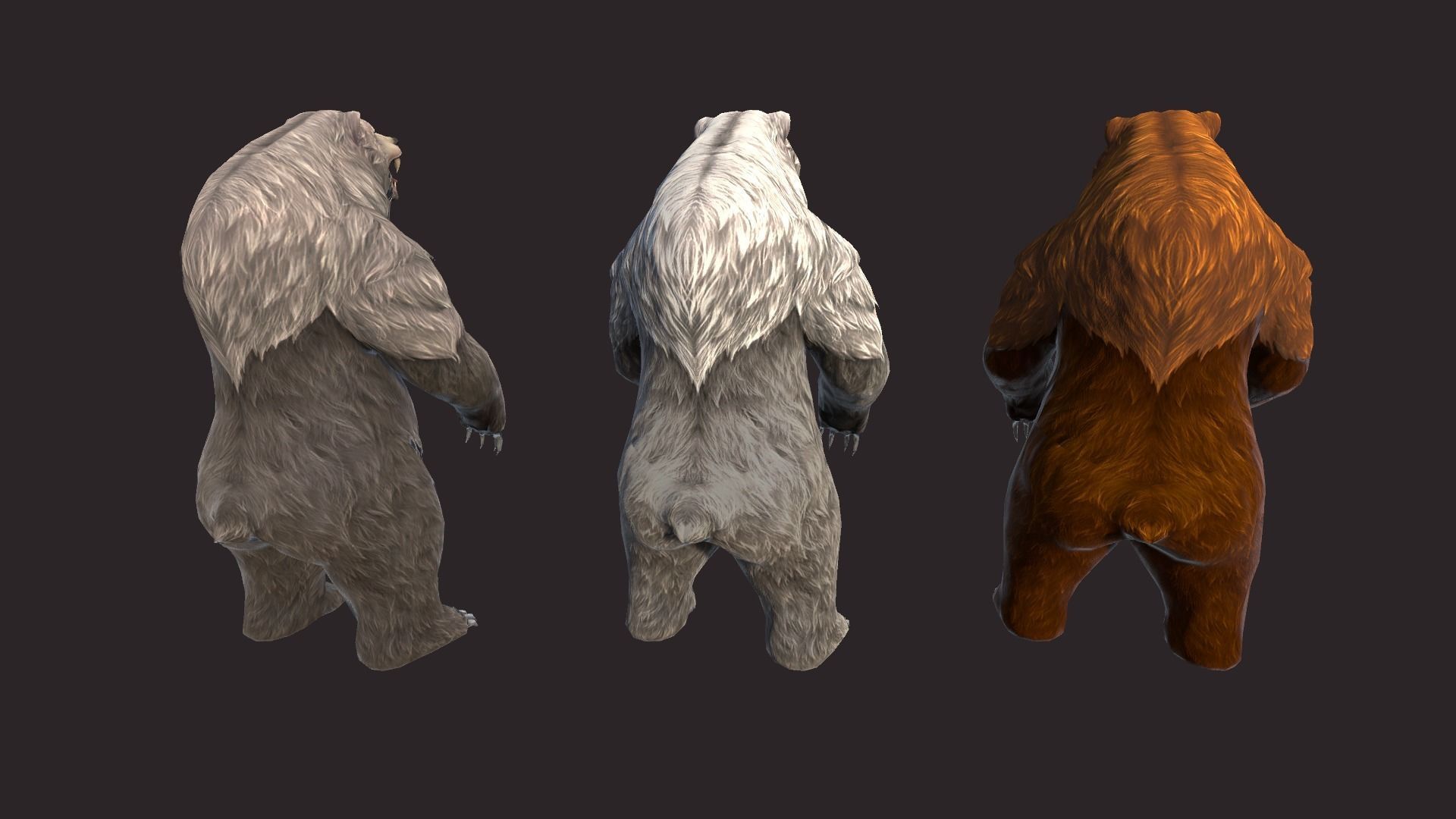 Bears bear Low-poly 3D model_9