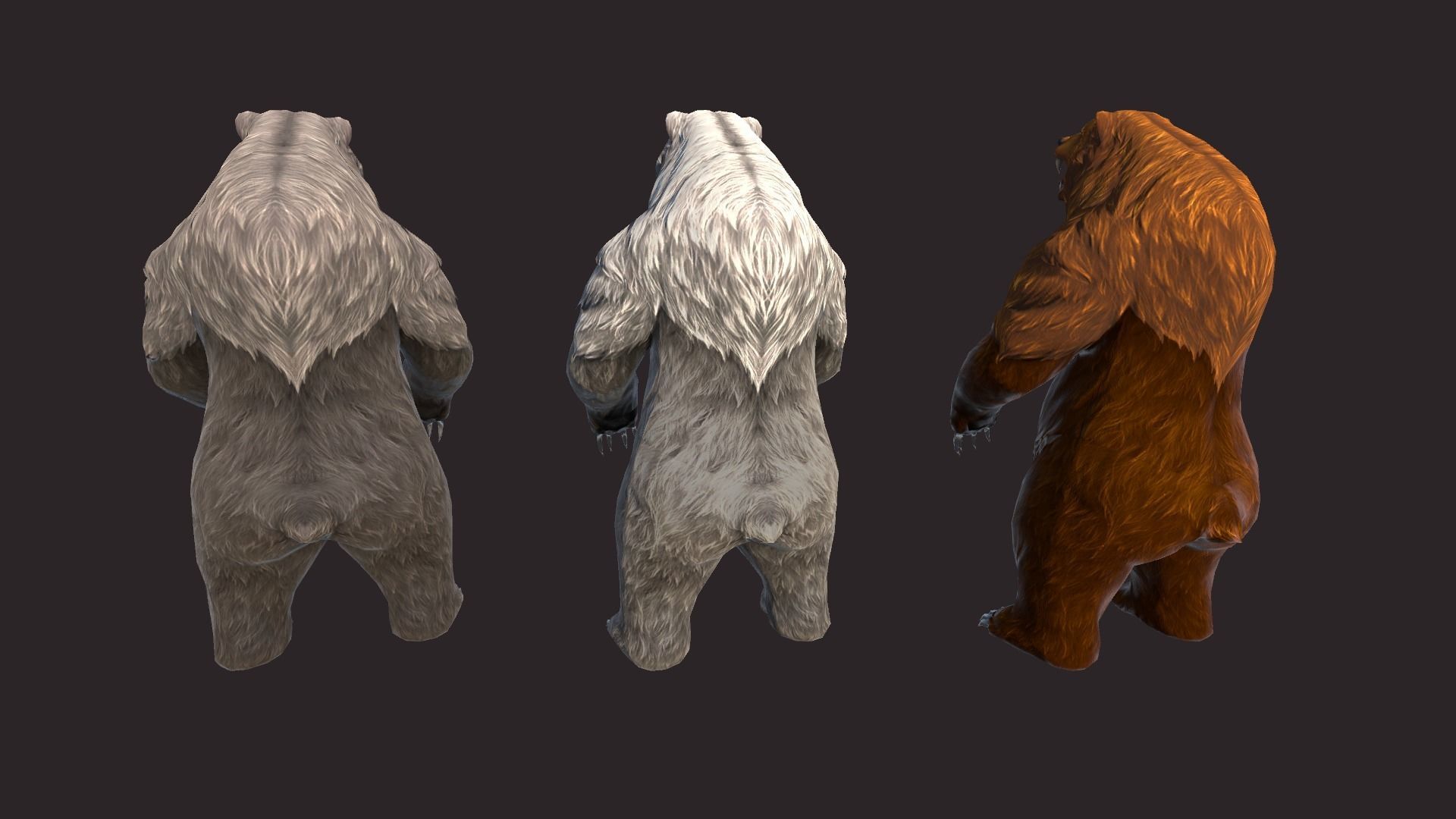 Bears bear Low-poly 3D model_8