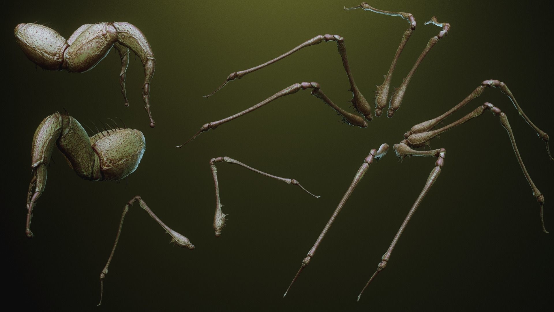 iNSEKt 150 monster parts 3D model_76