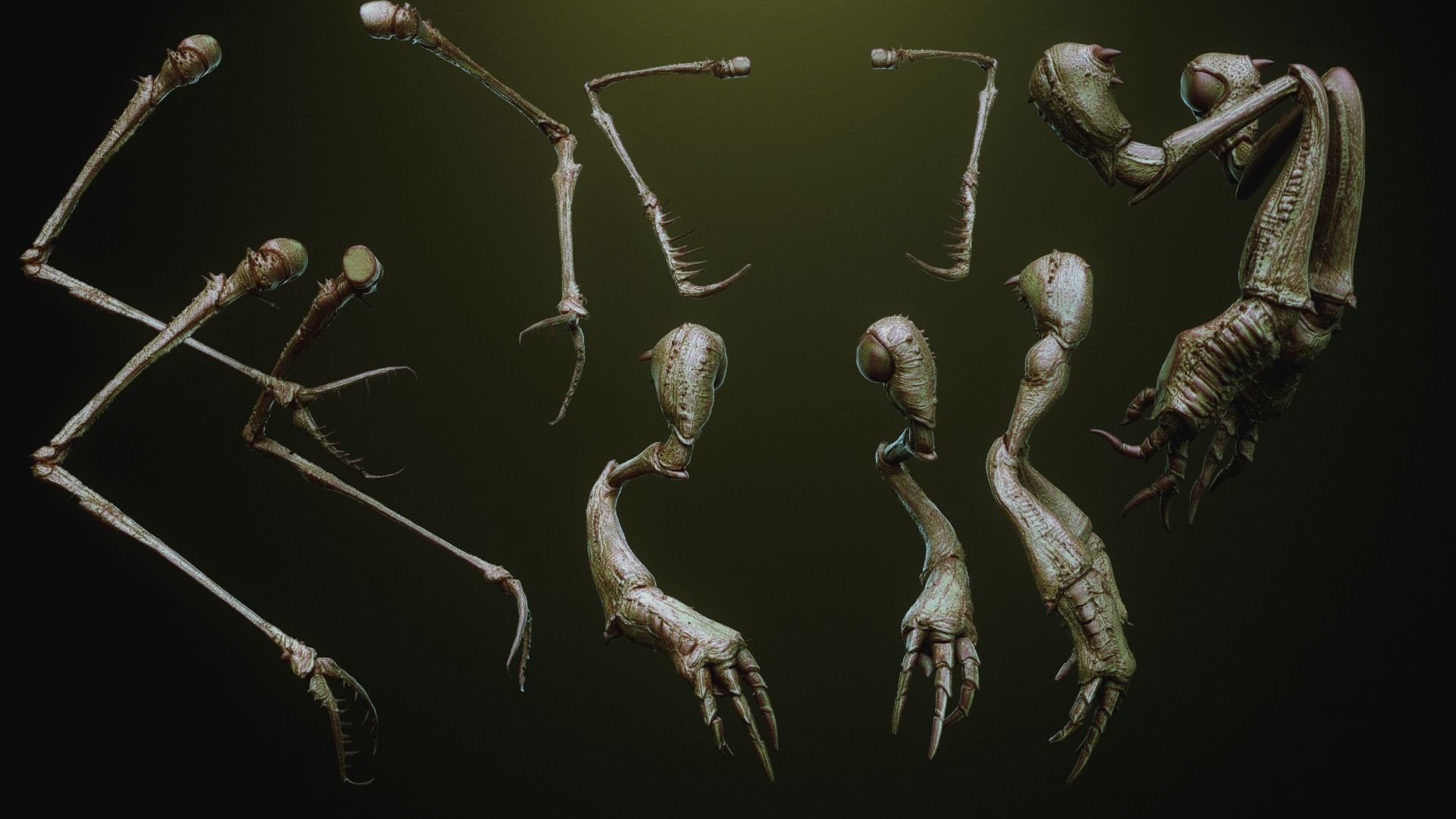 iNSEKt 150 monster parts 3D model_47