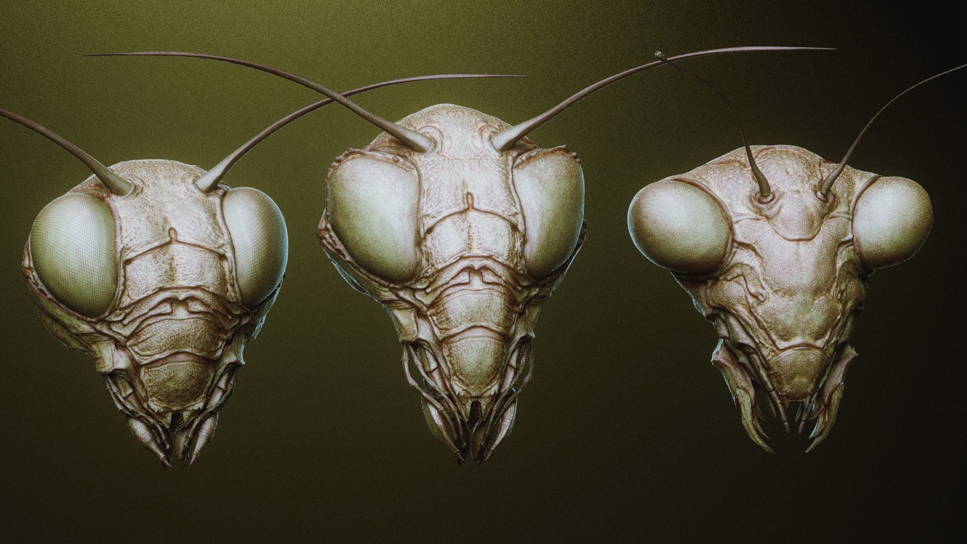 iNSEKt 150 monster parts 3D model_27