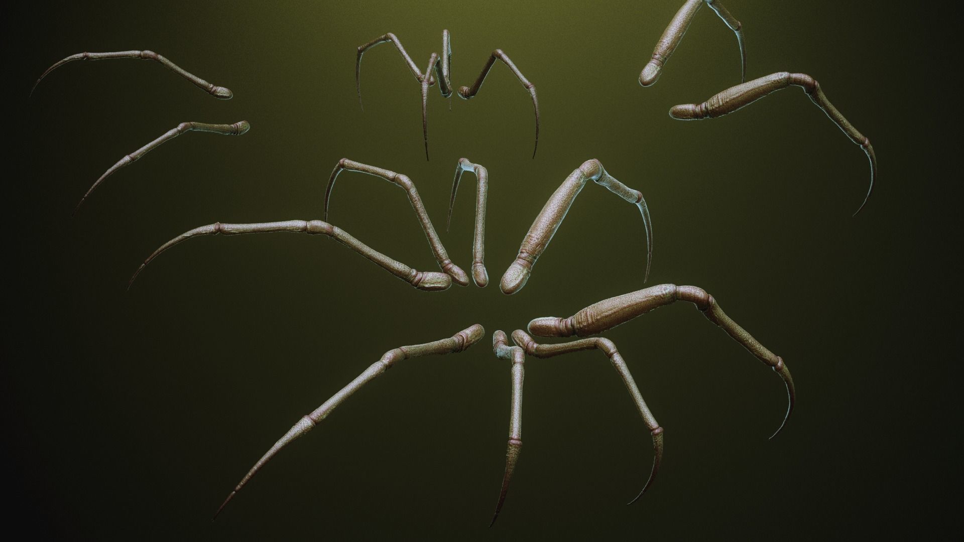 iNSEKt 150 monster parts 3D model_74