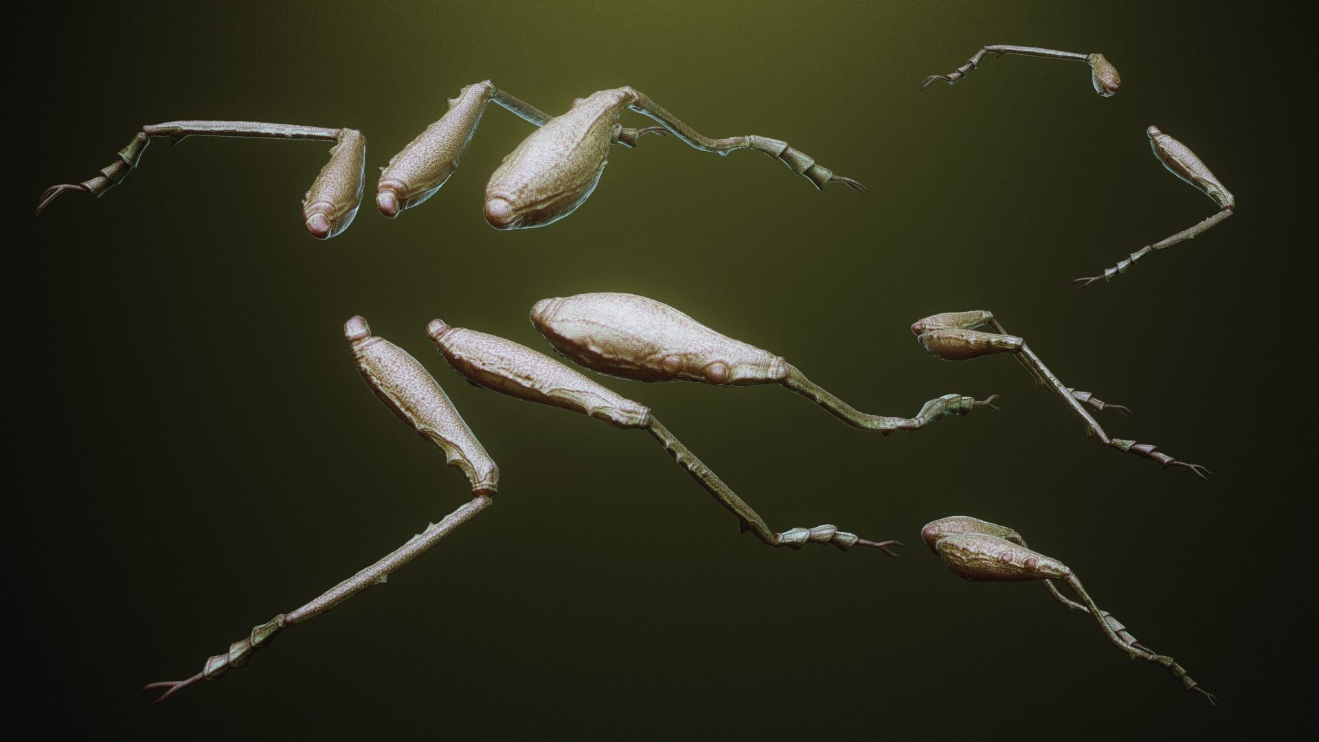 iNSEKt 150 monster parts 3D model_65