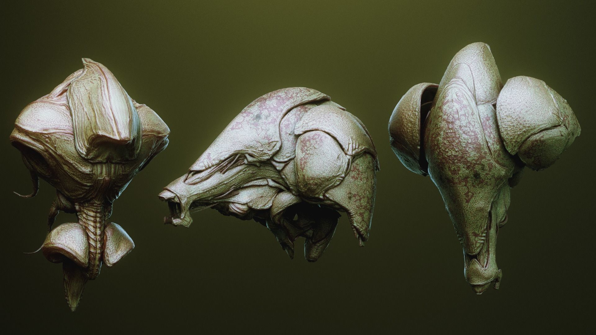 iNSEKt 150 monster parts 3D model_41