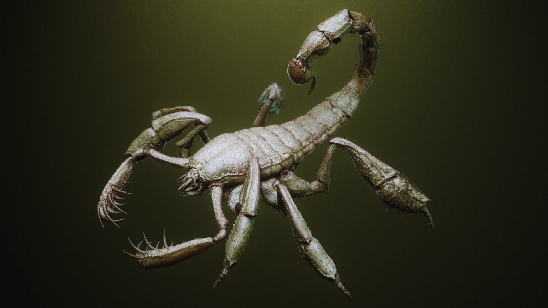 iNSEKt 150 monster parts 3D model_9