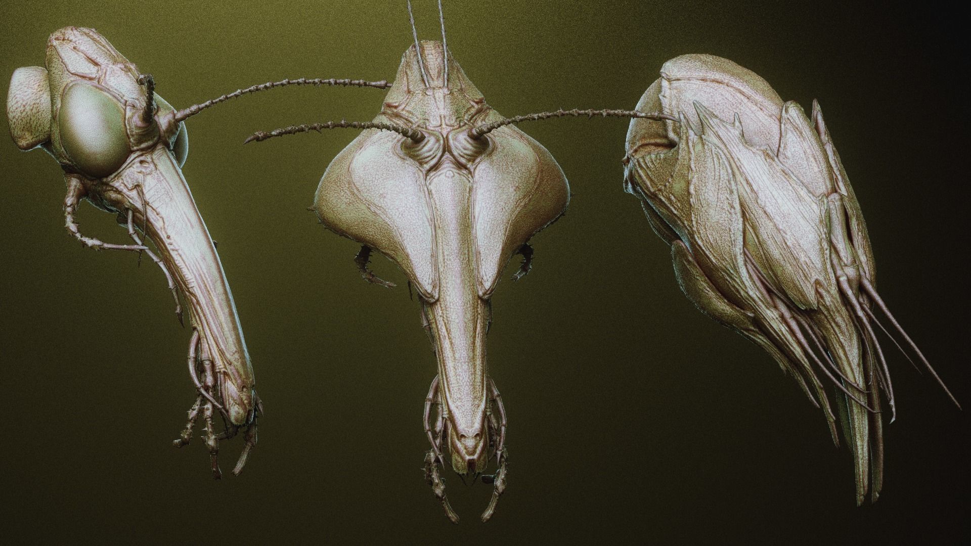 iNSEKt 150 monster parts 3D model_34