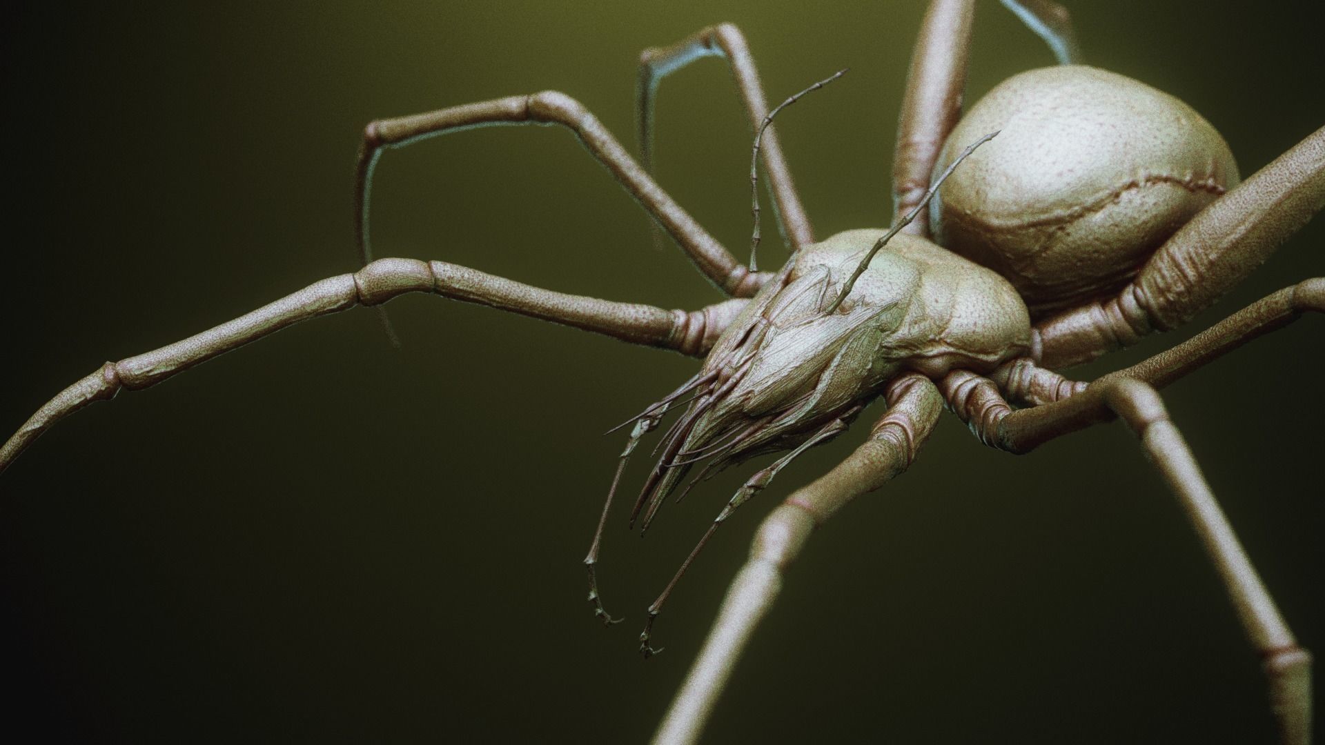 iNSEKt 150 monster parts 3D model_7