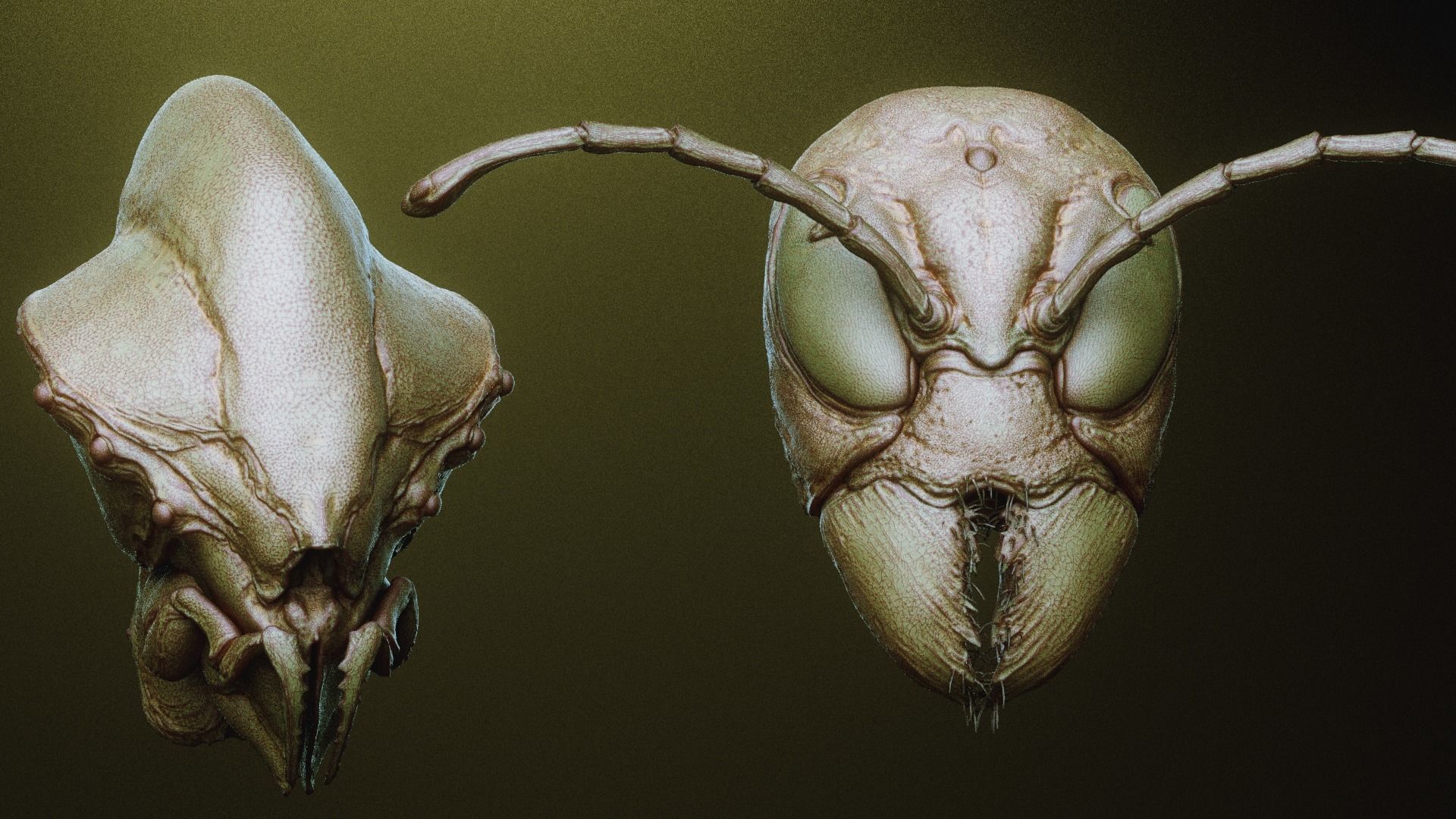 iNSEKt 150 monster parts 3D model_32