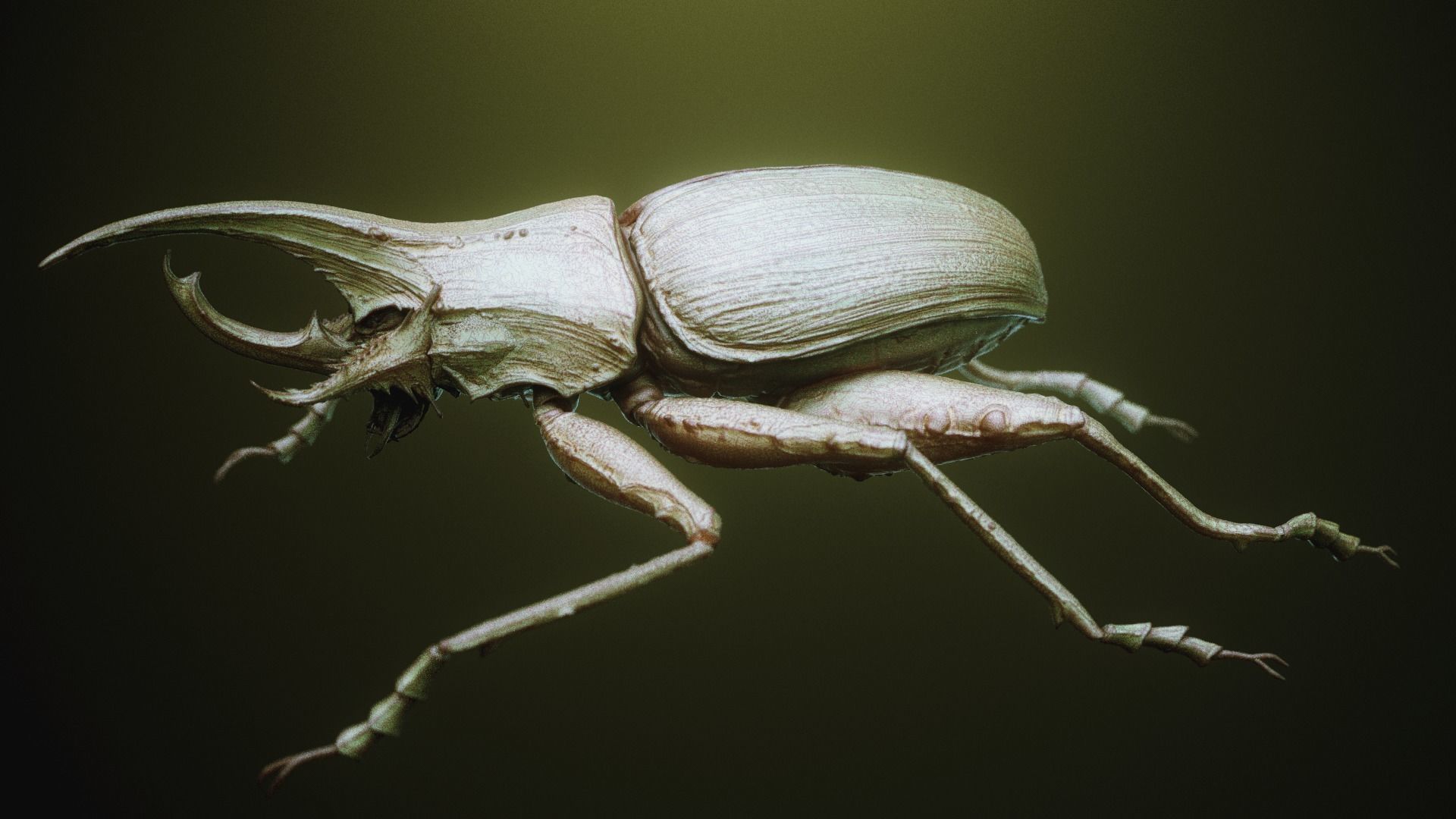 iNSEKt 150 monster parts 3D model_20