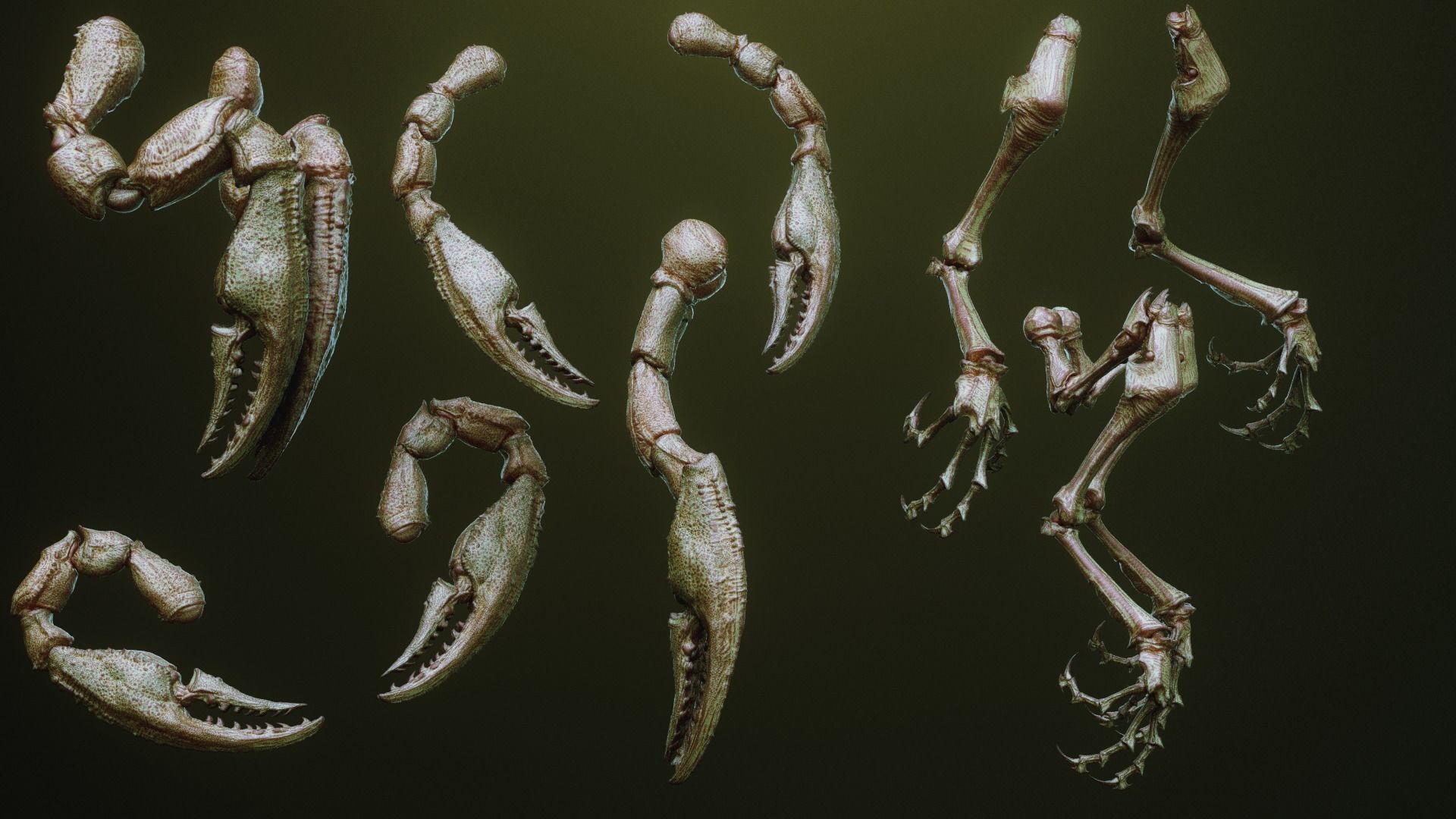 iNSEKt 150 monster parts 3D model_44