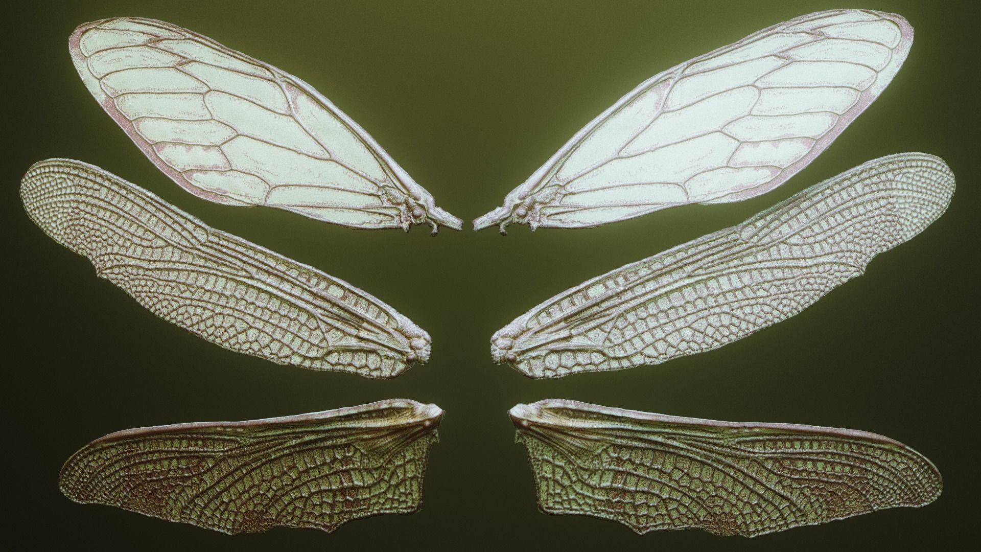 iNSEKt 150 monster parts 3D model_81