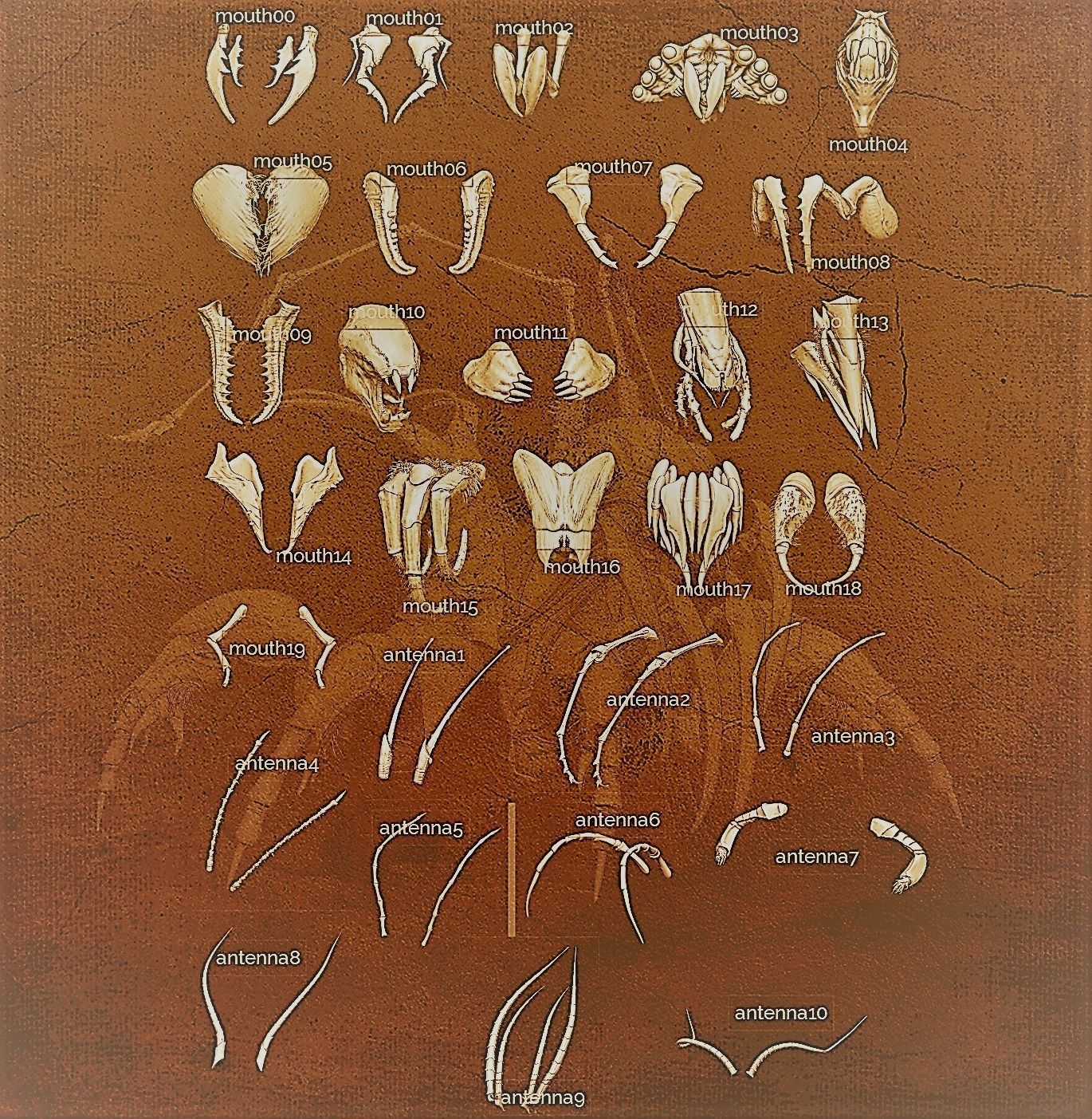 iNSEKt 150 monster parts 3D model_90