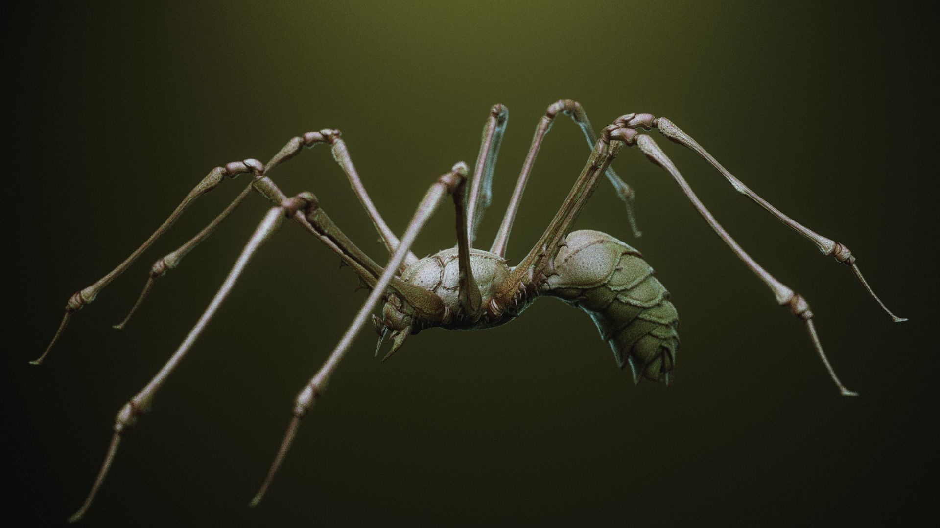 iNSEKt 150 monster parts 3D model_6