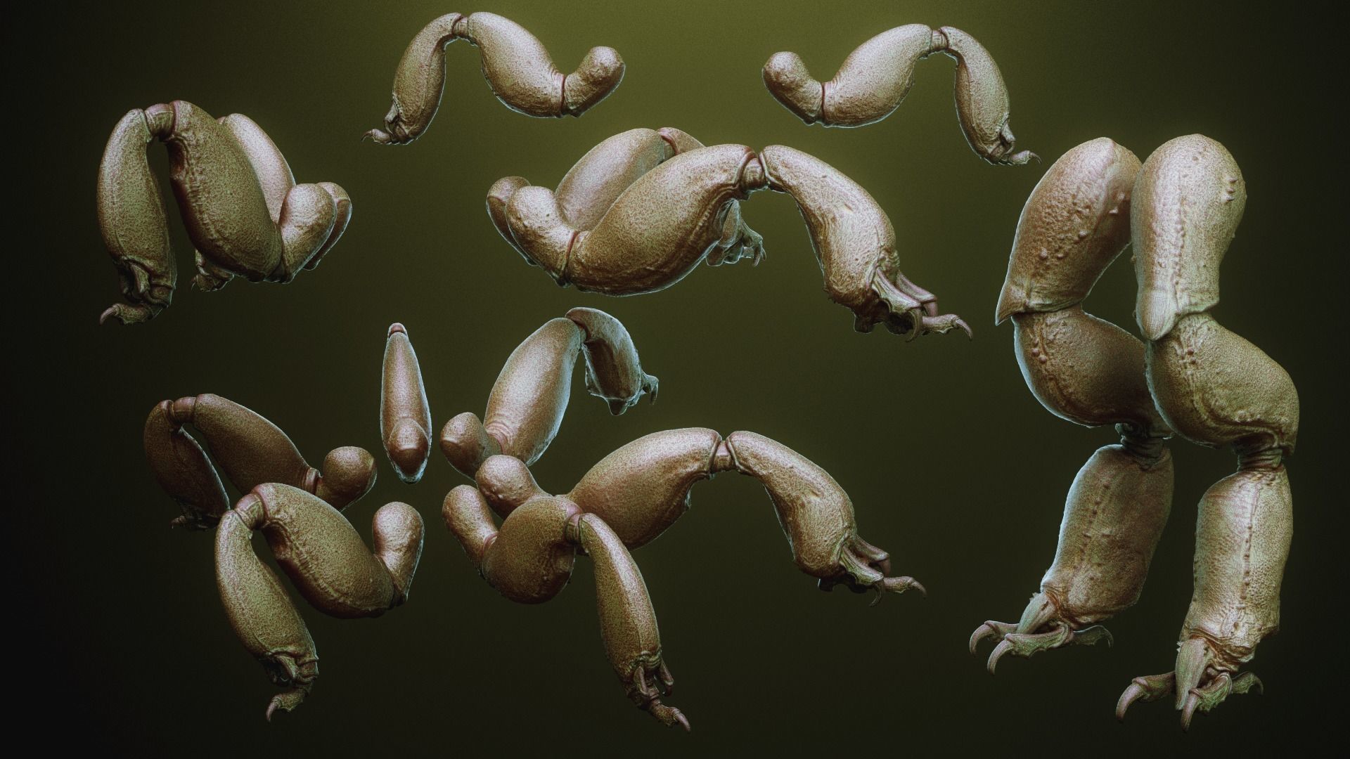 iNSEKt 150 monster parts 3D model_75