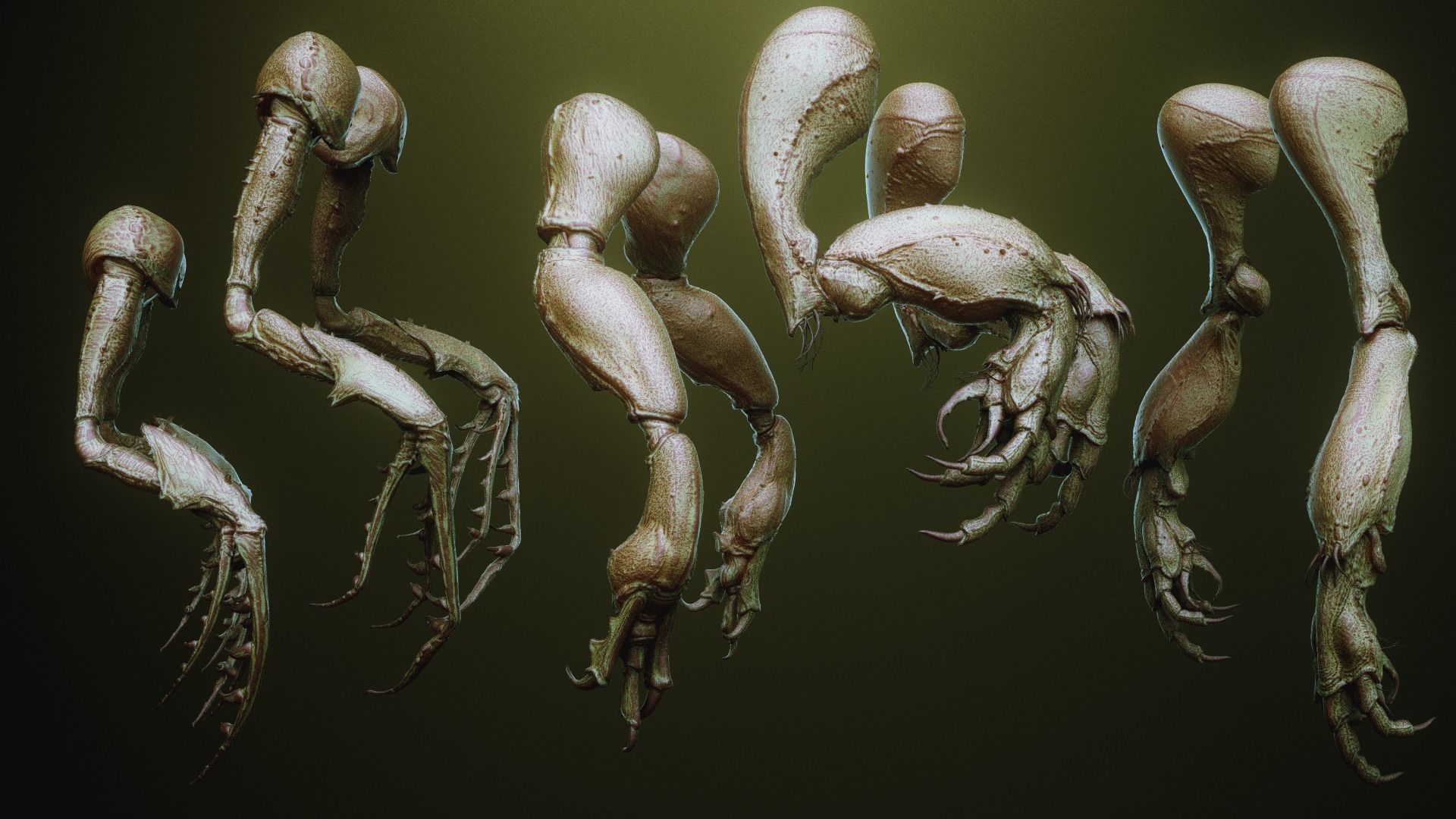 iNSEKt 150 monster parts 3D model_53