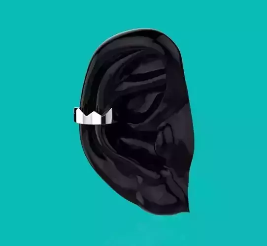 Ear Cuff Earrings  3d Print Model