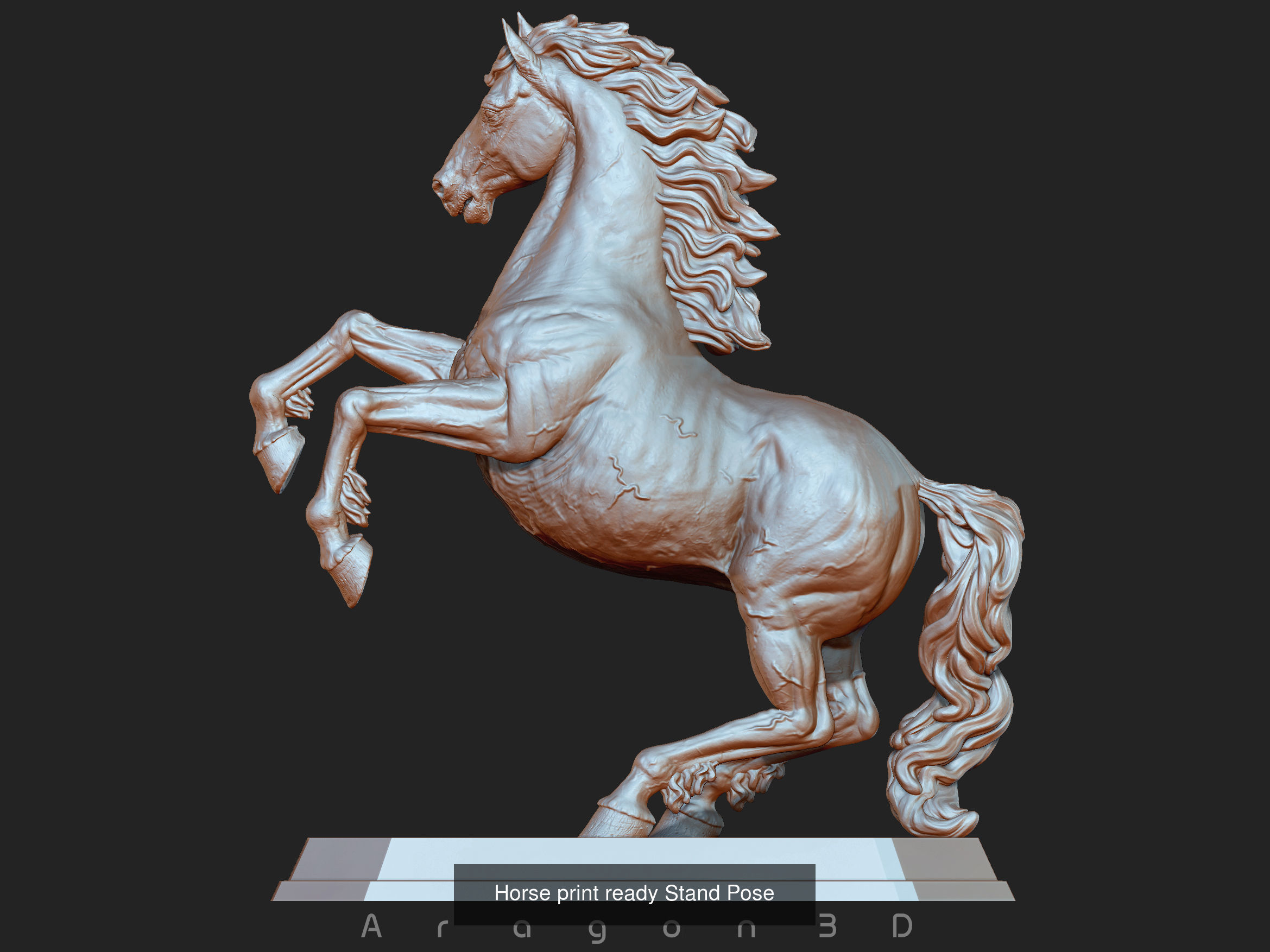 Horse 3D printable model 3D Model Collection_2