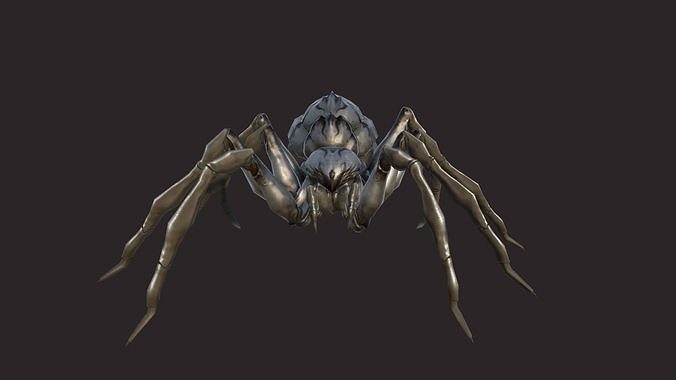 Spiders spider Low-poly 3D model