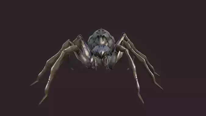 Spiders spider Low-poly 3D model