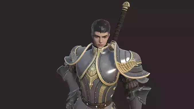 Knights knight in armor