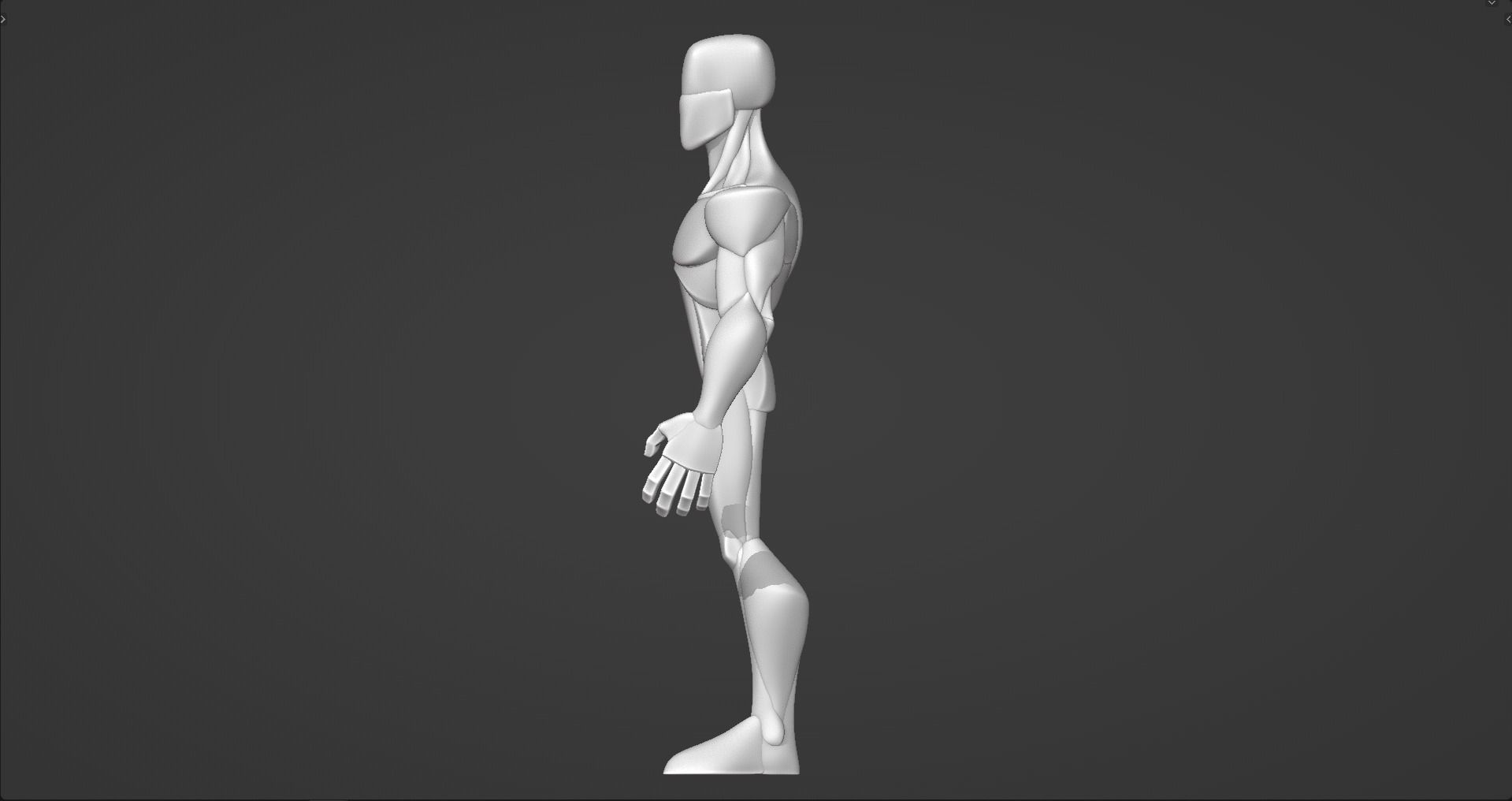Infinity Style Stylized Male Anatomy Blockout  3D model_13