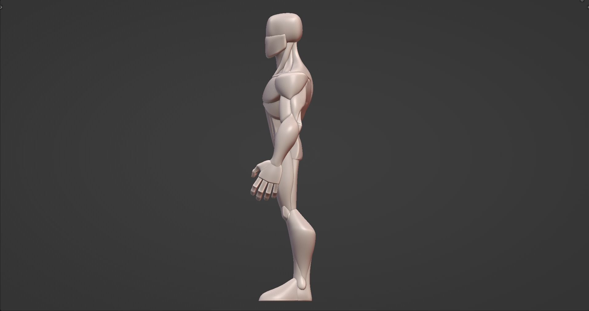 Infinity Style Stylized Male Anatomy Blockout  3D model_8