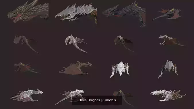 Three Dragons 3D Model Collection