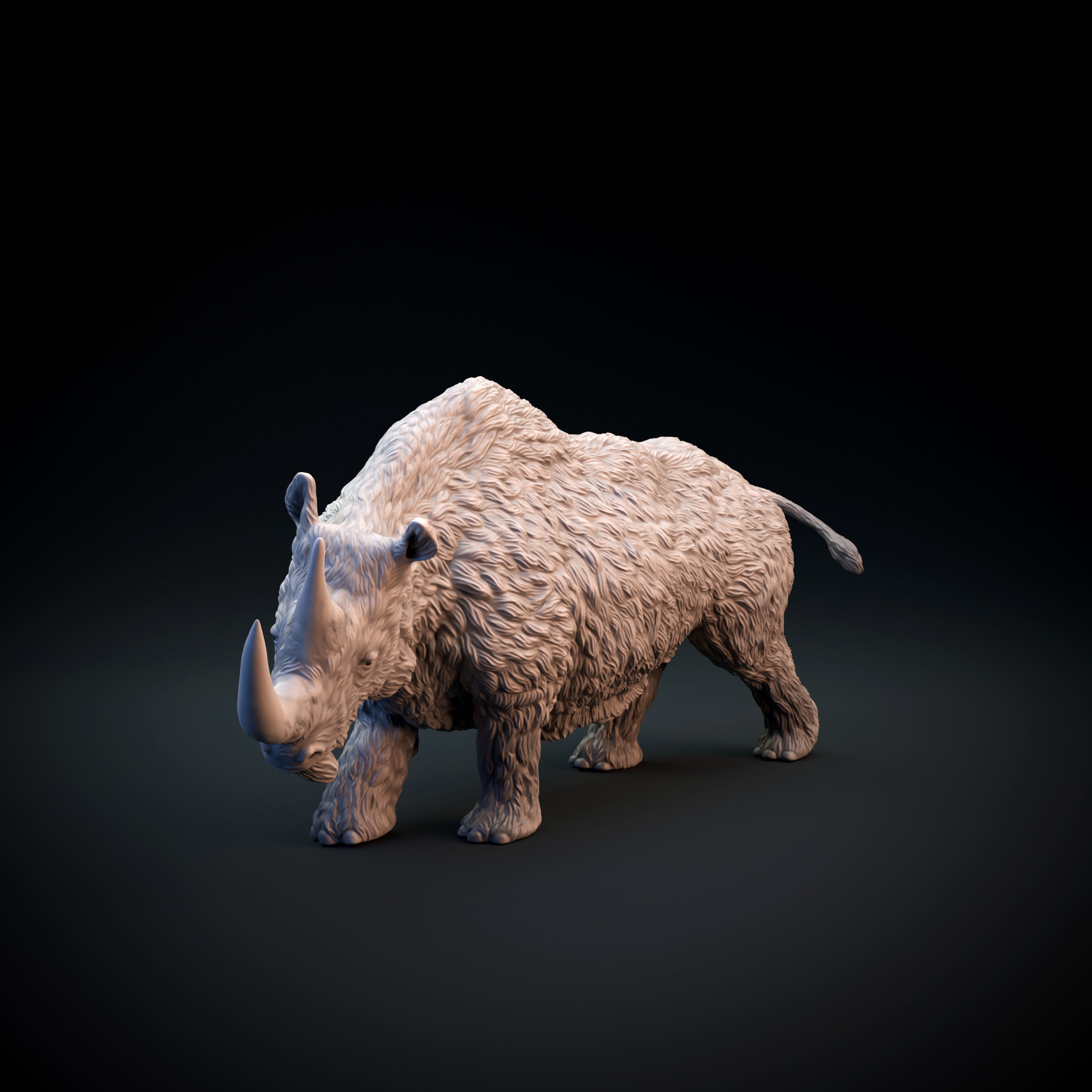 Woolly rhinoceros intended for 3D printing 3D print model_8