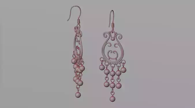 Earrings 20