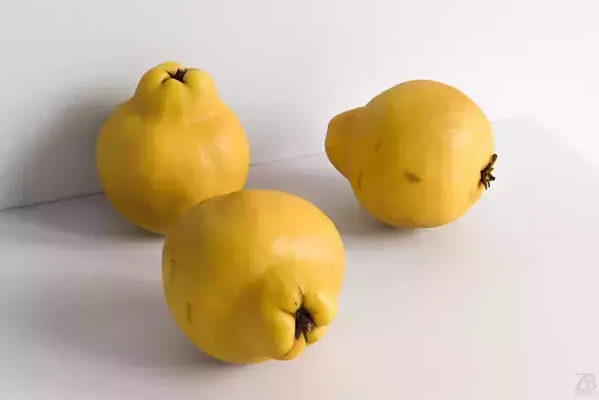 Quince 3D model