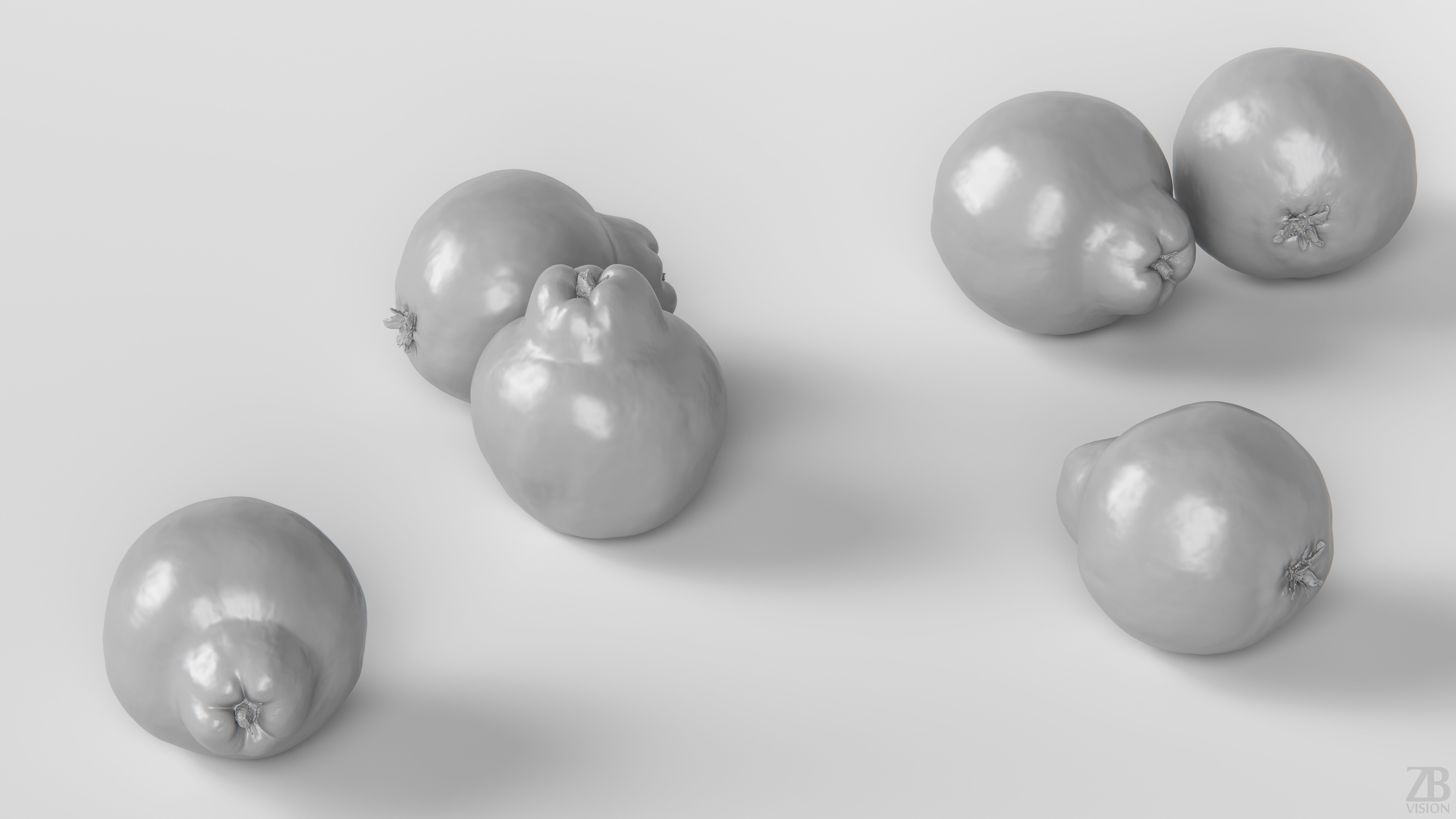 Quince 3D model_3