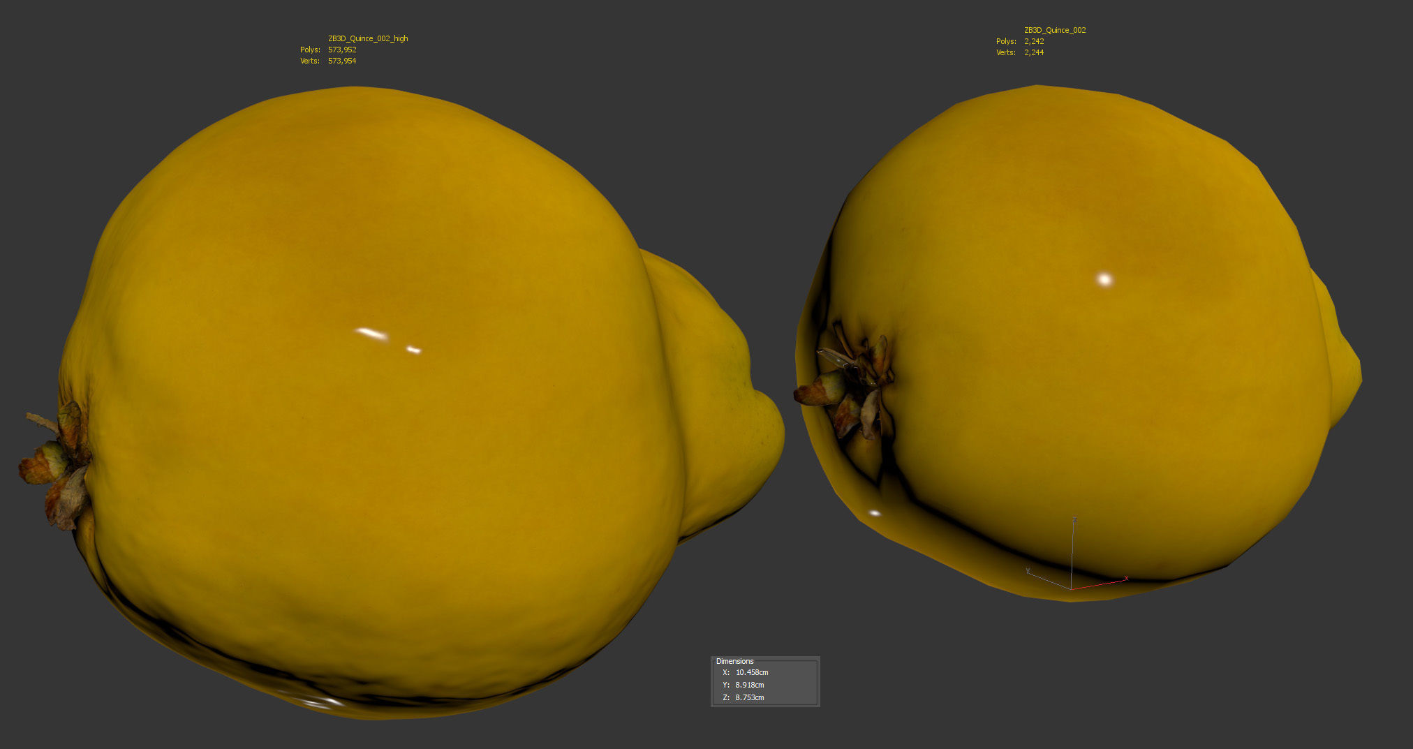 Quince 3D model_8