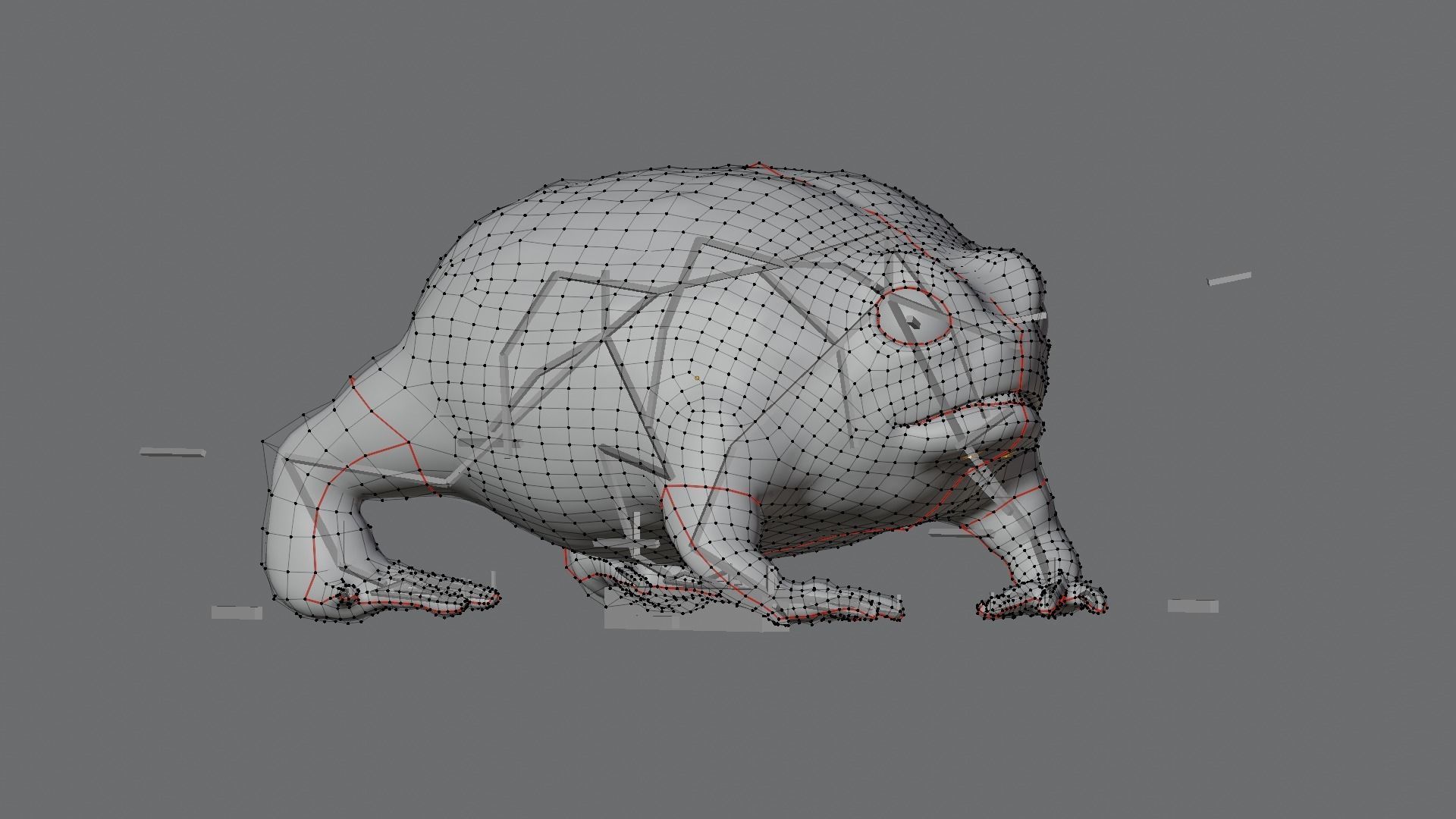 Desert Rain Frog 3D model_6