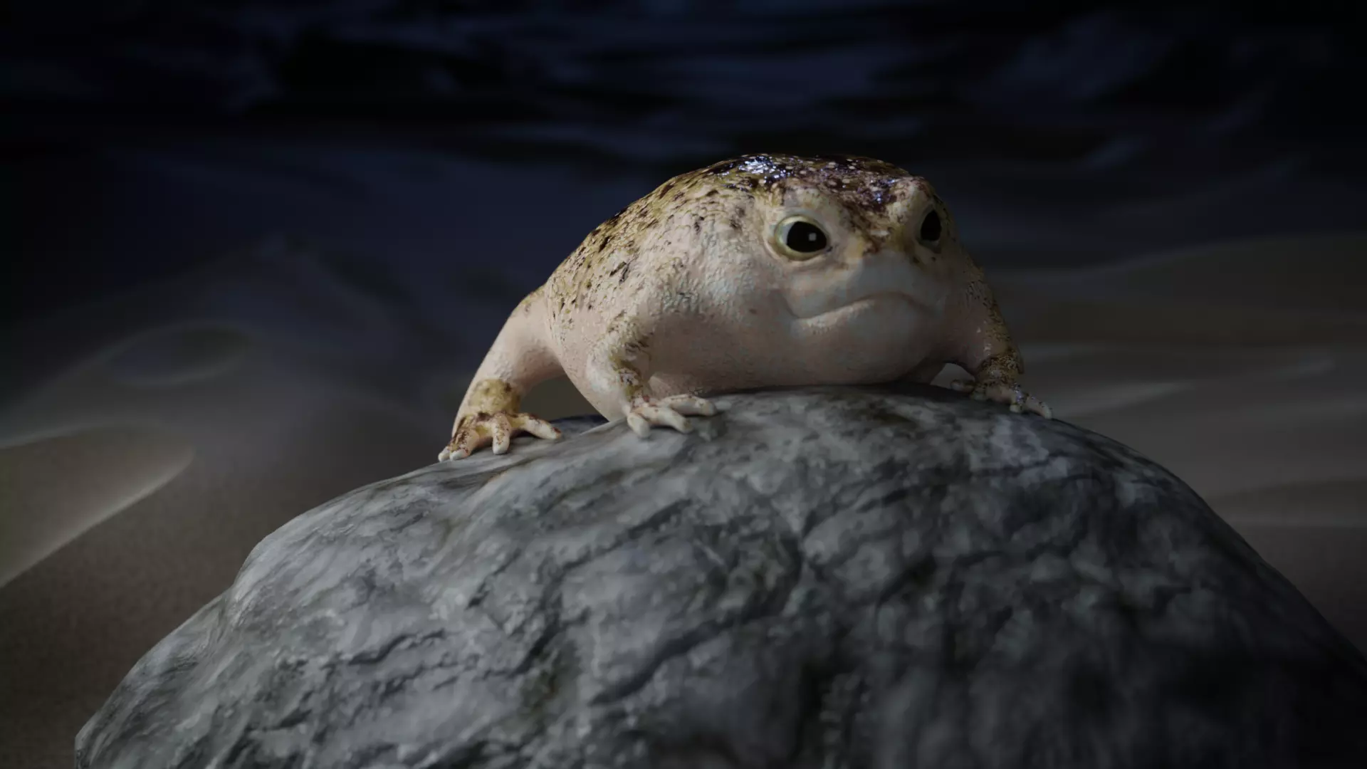 Desert Rain Frog 3D model_0