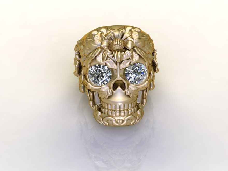 Ring Skull Biomechanics STL 3d model for 3d printing 3D print model_1