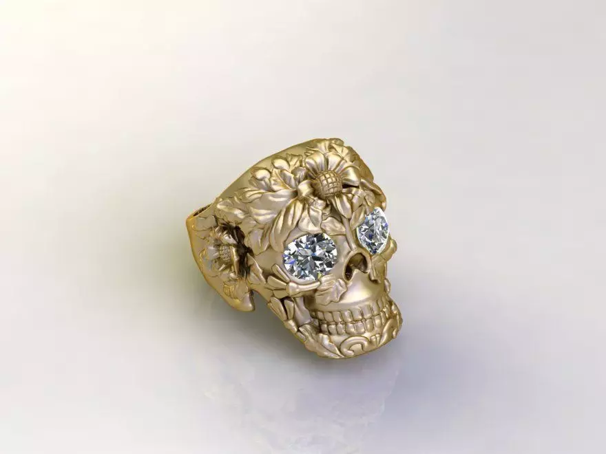 Ring Skull Biomechanics STL 3d model for 3d printing 3D print model_0