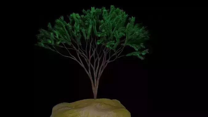 Tree model01 3D model