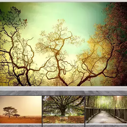 Photo Wallpaper No 37