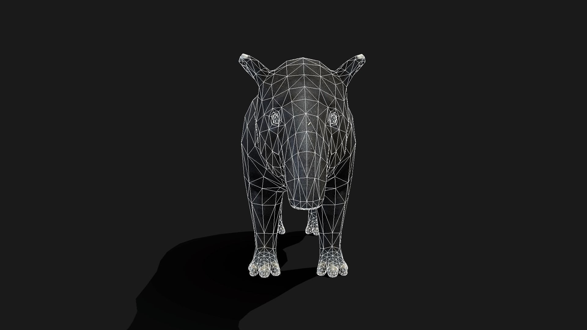 Low poly Malayan Tapir Low-poly 3D model_19