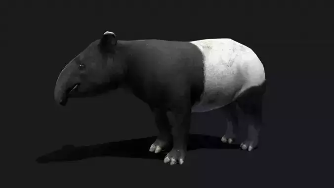 Low poly Malayan Tapir