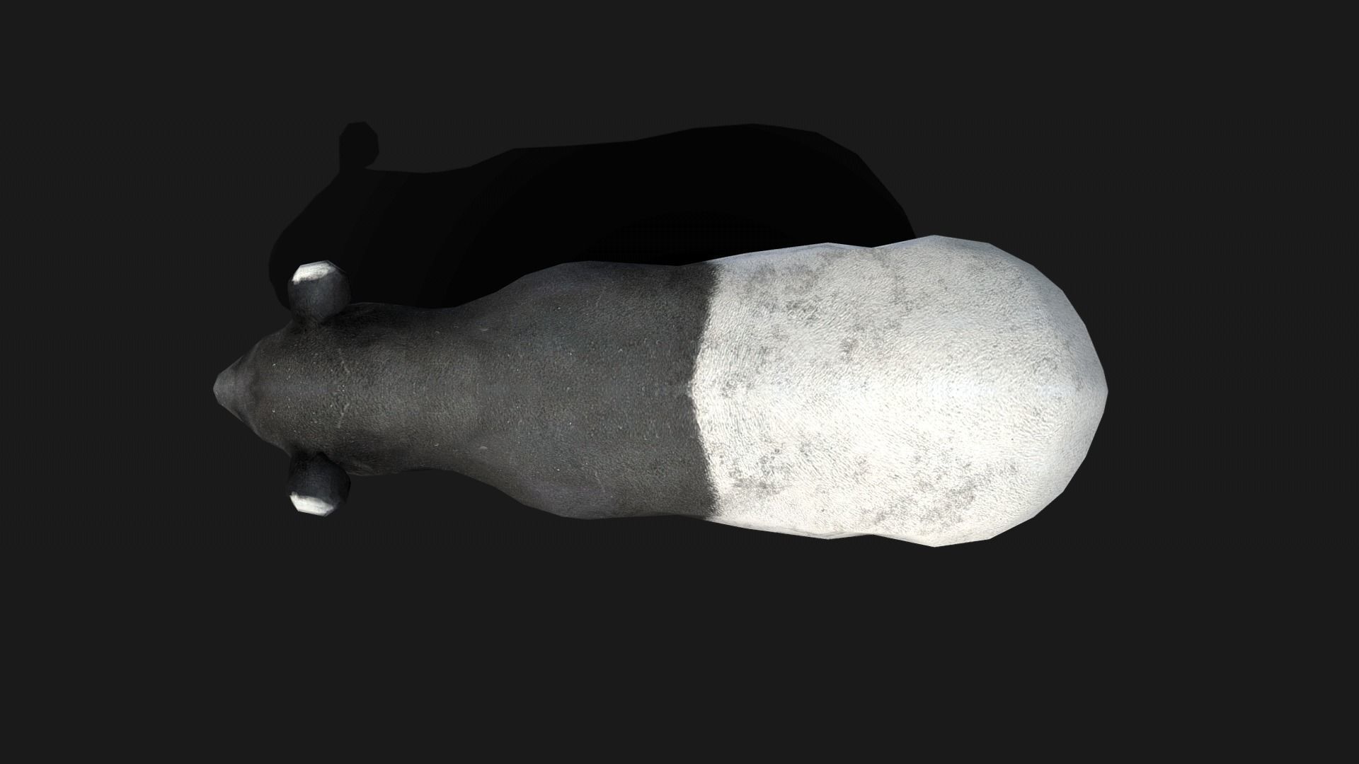 Low poly Malayan Tapir Low-poly 3D model_14