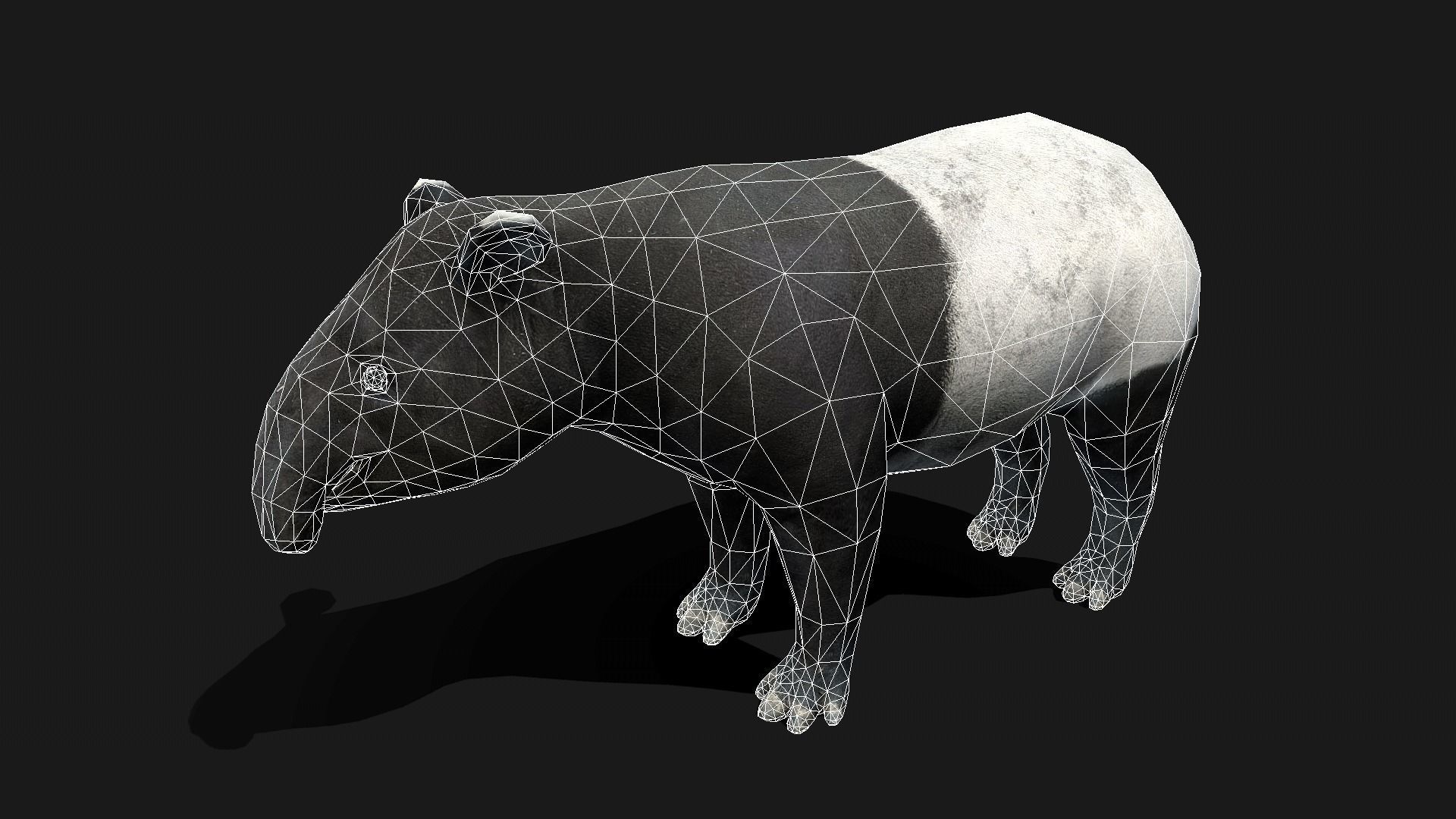 Low poly Malayan Tapir Low-poly 3D model_5
