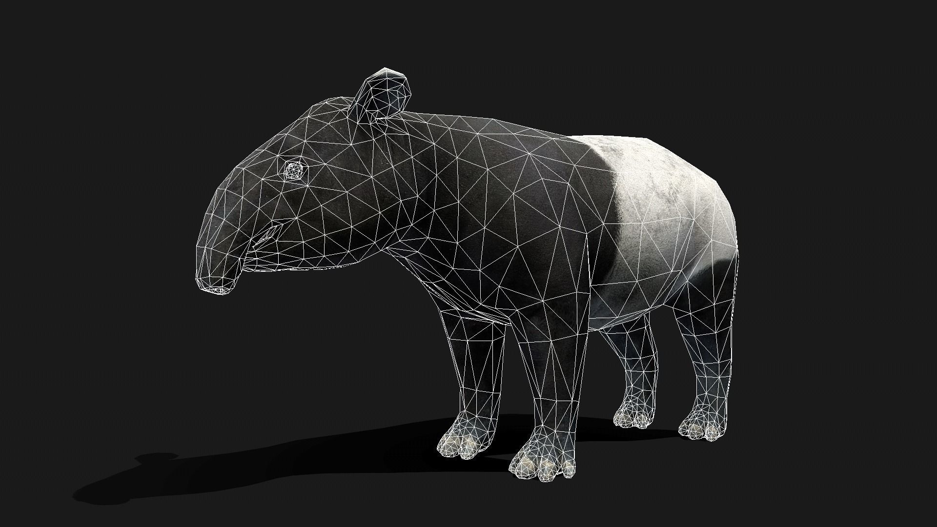 Low poly Malayan Tapir Low-poly 3D model_11
