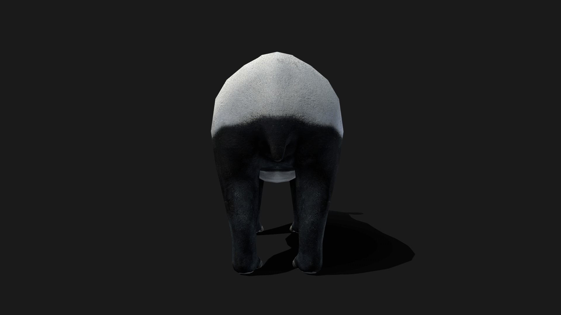 Low poly Malayan Tapir Low-poly 3D model_16