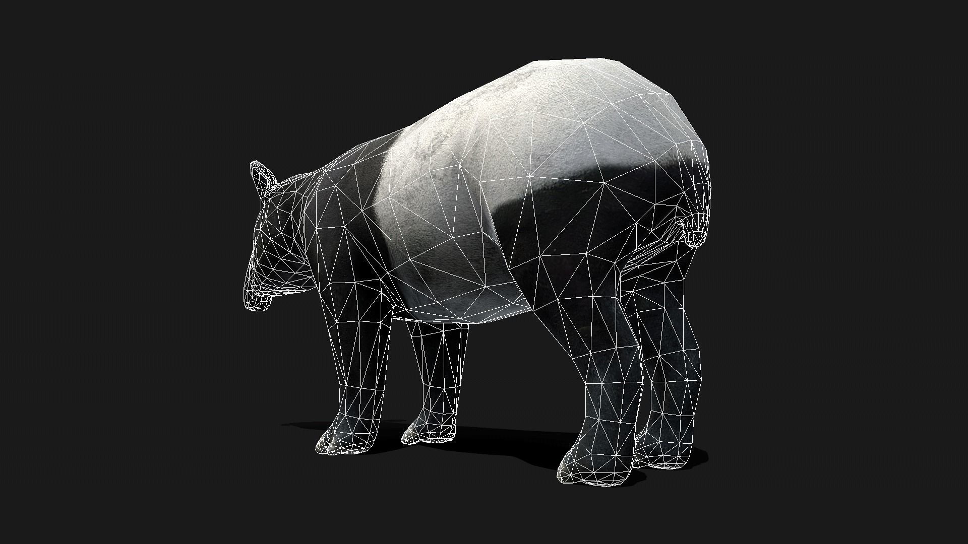 Low poly Malayan Tapir Low-poly 3D model_9