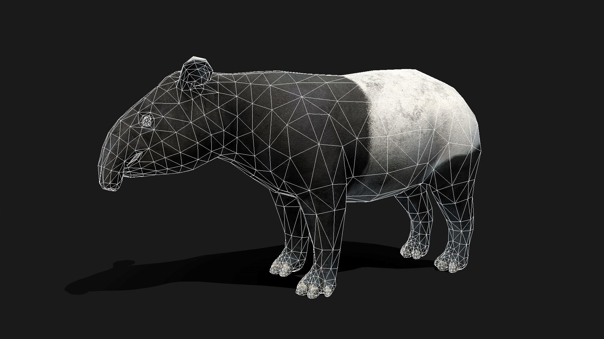 Low poly Malayan Tapir Low-poly 3D model_2